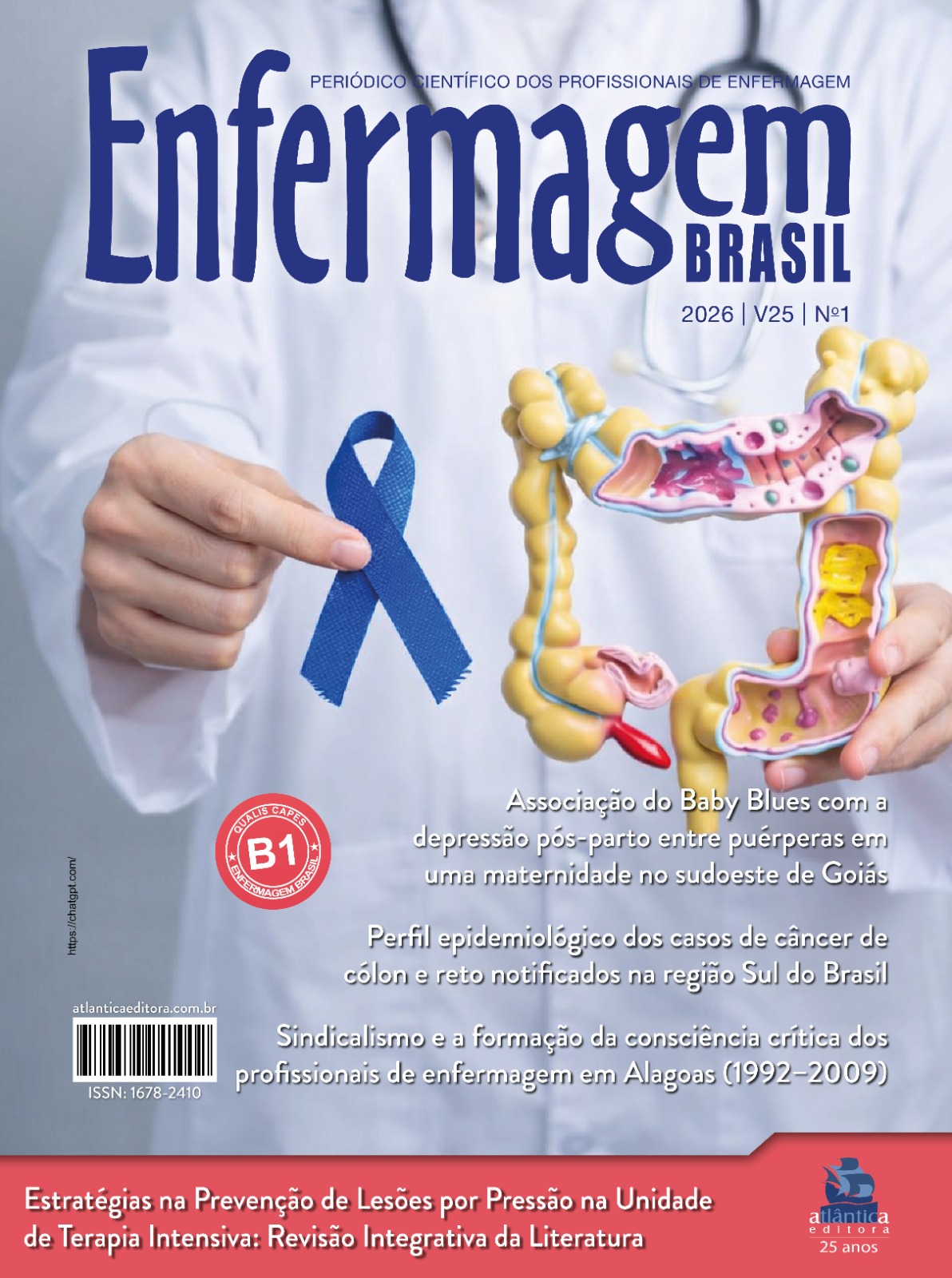 					Visualizar v. 25 n. 1 (2026): Enfermagem Brasil v25n1
				